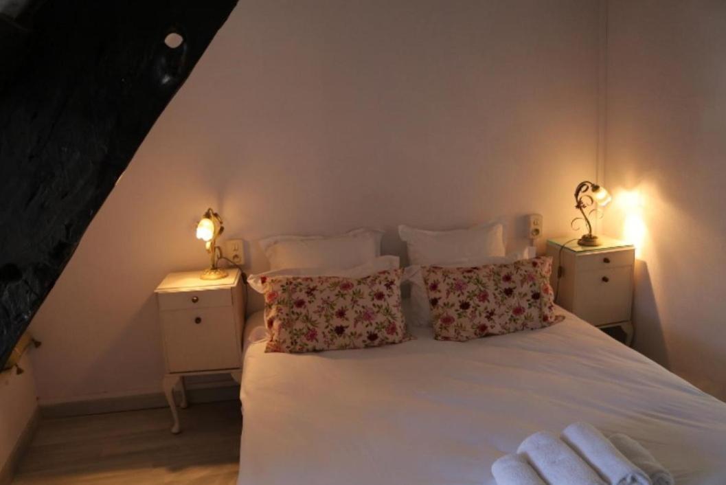 ディナン Le Poisson Ivre Bed & Breakfast エクステリア 写真